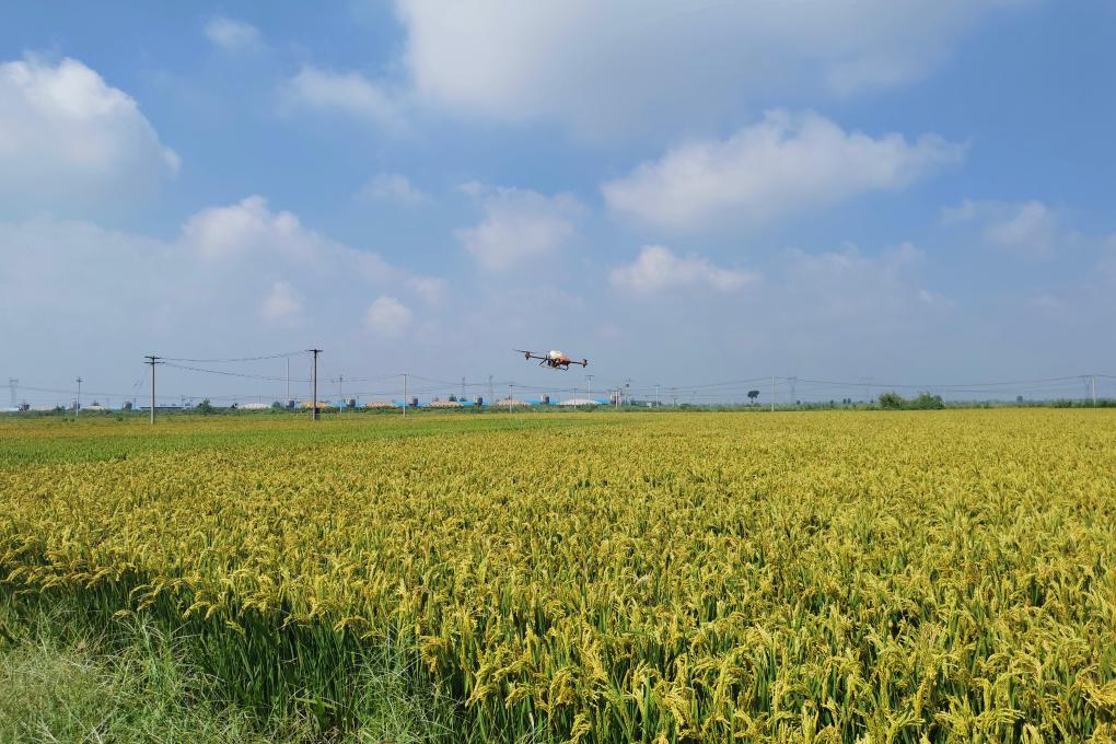 河北唐山：打造智慧农业 助推产业提质增效