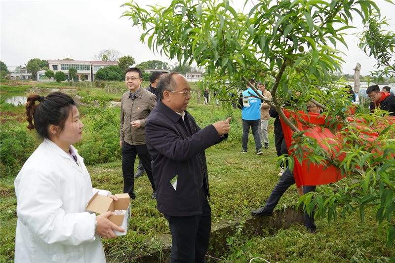湖南宁乡：构建绿色防控体系 有机、绿色农作物丰收增产