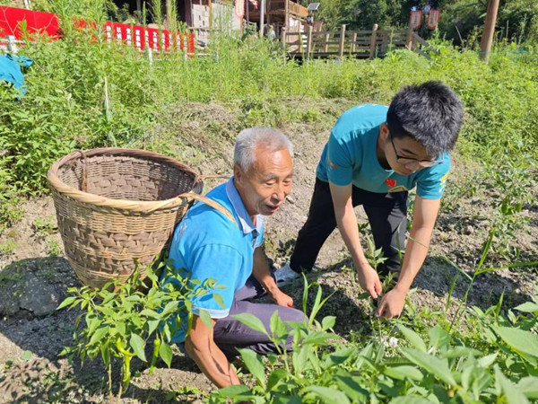 服务团成员深入田间地头开展劳动教育。重庆邮电大学供图